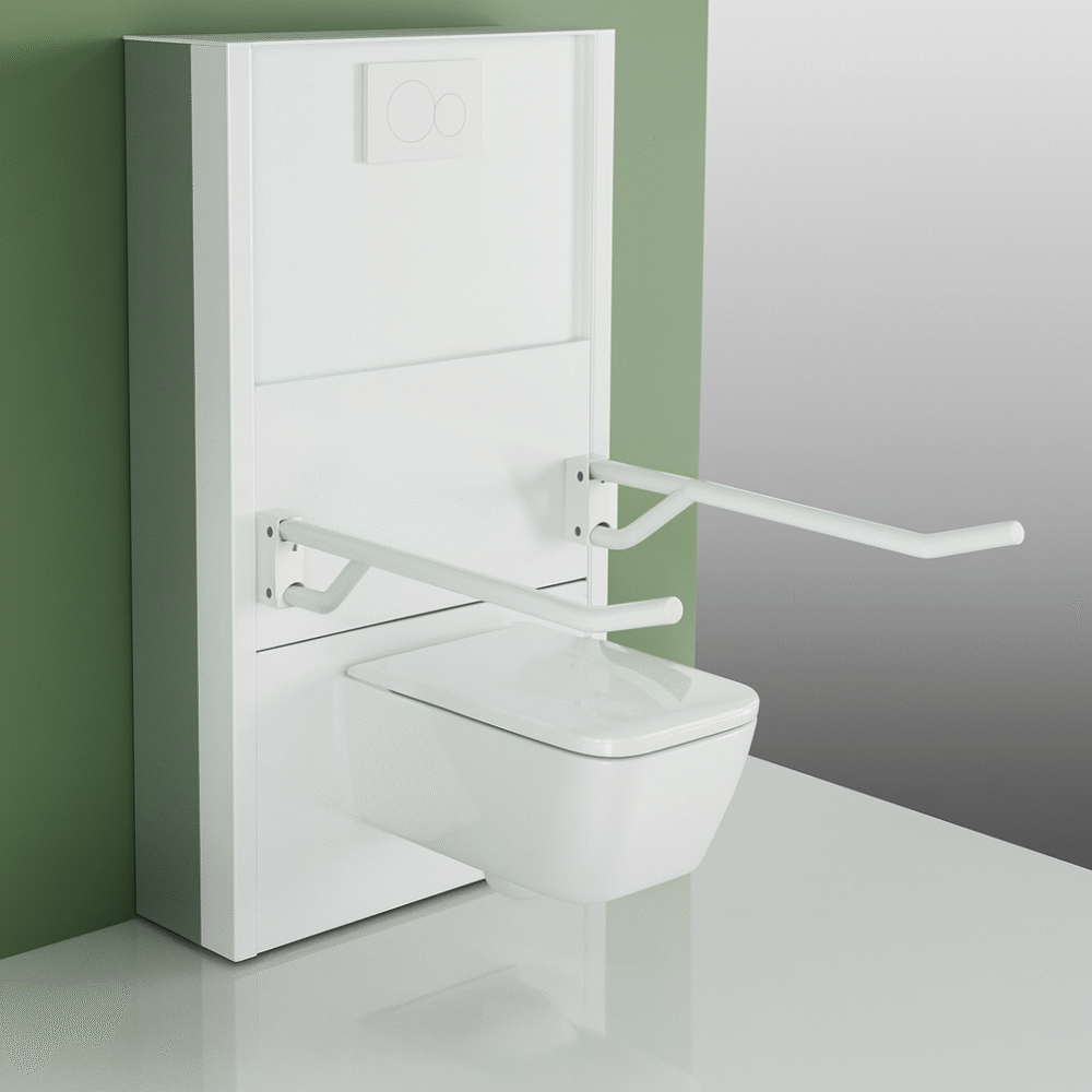 Raised toilet seat with handles for seniors